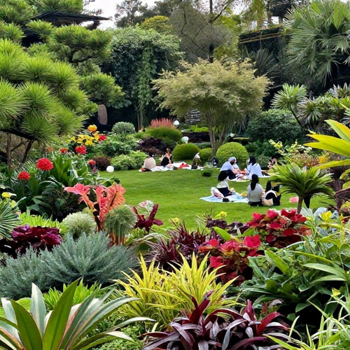 Paisagismo Eficiente: Estratégias para Criar Jardins Bonitos e Práticos