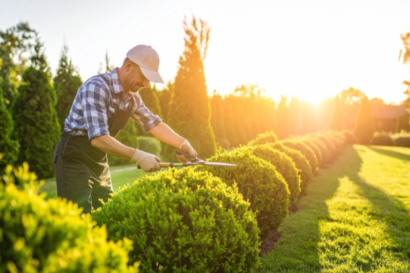 Empresa de Jardinagem: Transforme Seu Espaço Verde em um Refúgio de Beleza e Tranquilidade